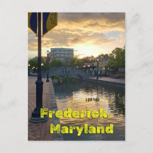 Carte Postale Carroll Creek Frederick Maryland #3