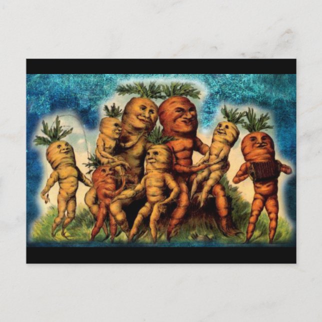 Carte Postale Carrot Famille (Devant)