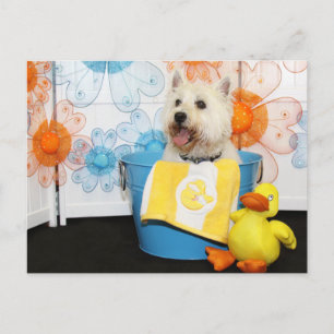 Carte Postale Carson - West Highland Terrier -6