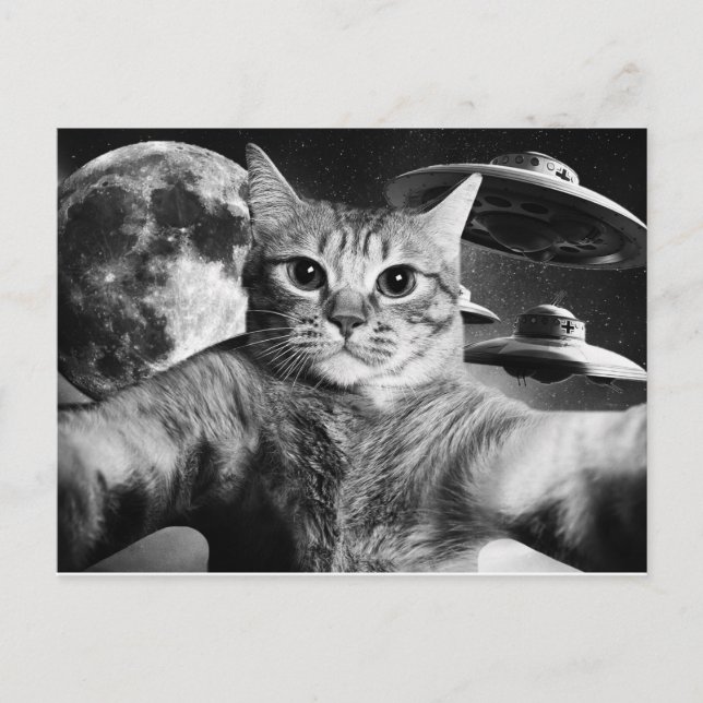 Carte Postale Cartão Postal Cat Space (Devant)