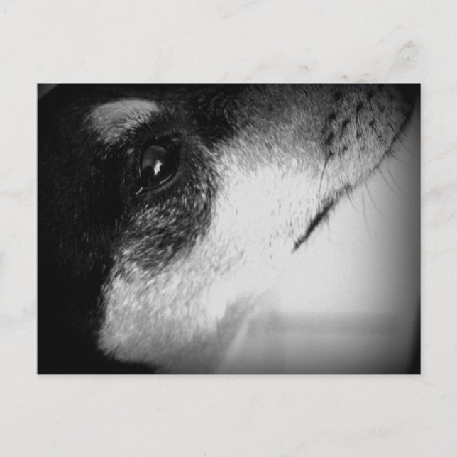 Carte Postale Cartão Postal : Thor (Devant)