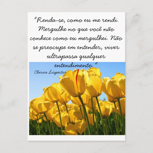 Carte Postale Cartão Postal - Tulipas - Clarice Lispector (Devant)