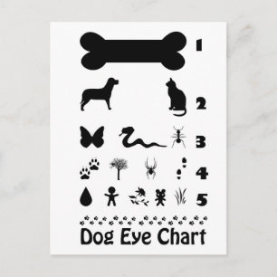 Carte postale Carte oeil chien