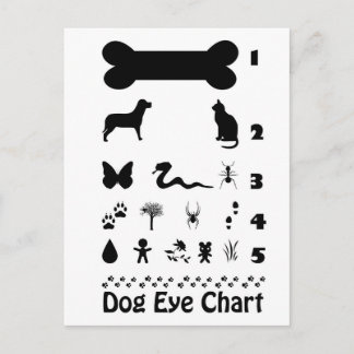 Carte postale Carte oeil chien
