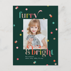 Carte postale Carte photo Vacances Bright and Furr