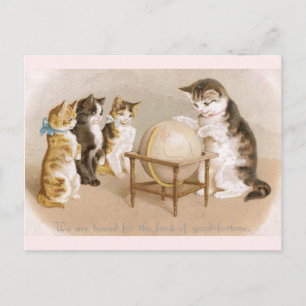 Carte Postale Cartographe Chat et Trois Chatons