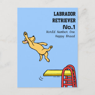 Carte Postale Carton de plongée du Labrador jaune
