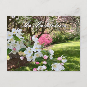 Carte Postale Carton d'invitation Fleurs de mai rose