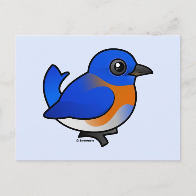Carte Postale Carton Western Bluebird (Devant)