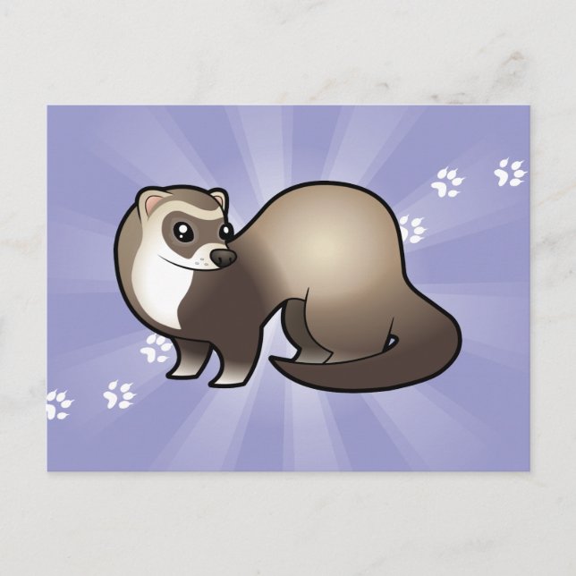 Carte Postale Cartoon Ferret (Devant)