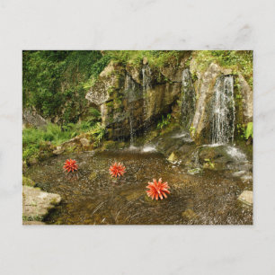 Carte Postale Cascade