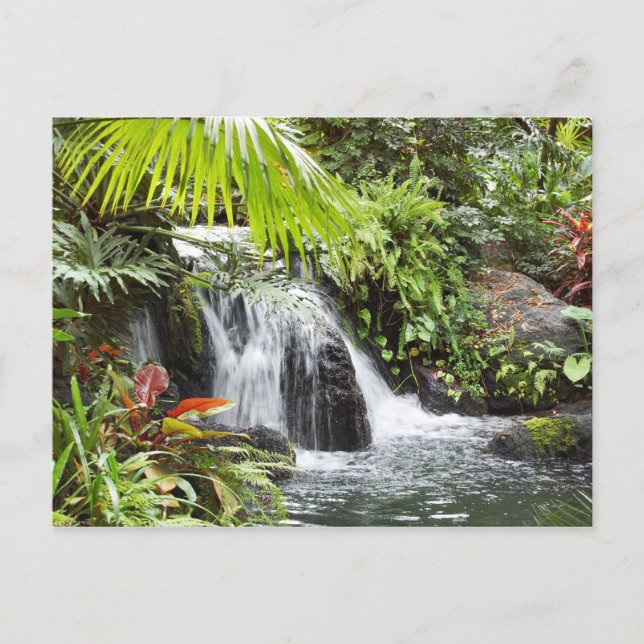 Carte Postale Cascade (Devant)