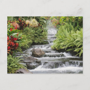Carte Postale Cascade