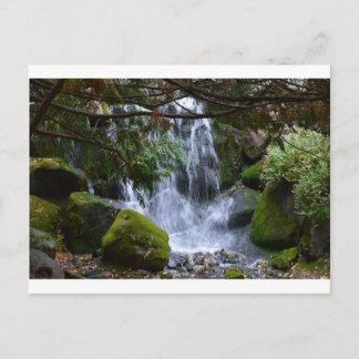 Carte Postale Cascade