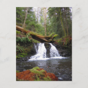 Carte Postale Cascade