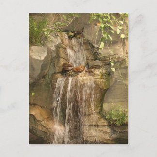 Carte postale cascade !