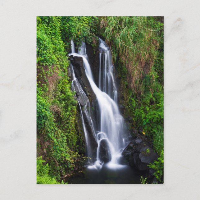 Carte Postale Cascade, côte de Hamakua, Hawaii (Devant)
