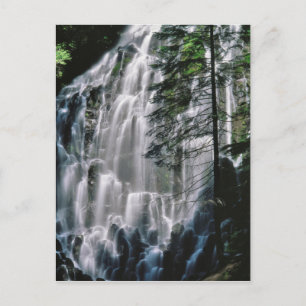 Carte Postale Cascade dans la forêt, Oregon