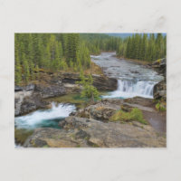 Cascade Dans Les Montagnes Rocheuses Canadiennes