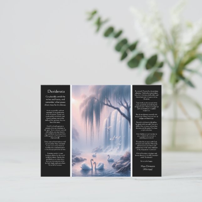 Carte Postale Cascade de Desiderata : Pastel Light Peace (Debout devant)