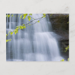 Carte Postale Cascade de Hocking Hills