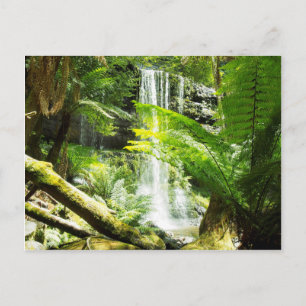 Carte Postale Cascade de la forêt tropicale