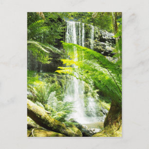 Carte Postale Cascade de la forêt tropicale