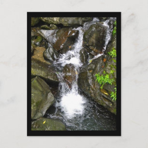 Carte Postale Cascade de la forêt tropicale nationale El Yunque
