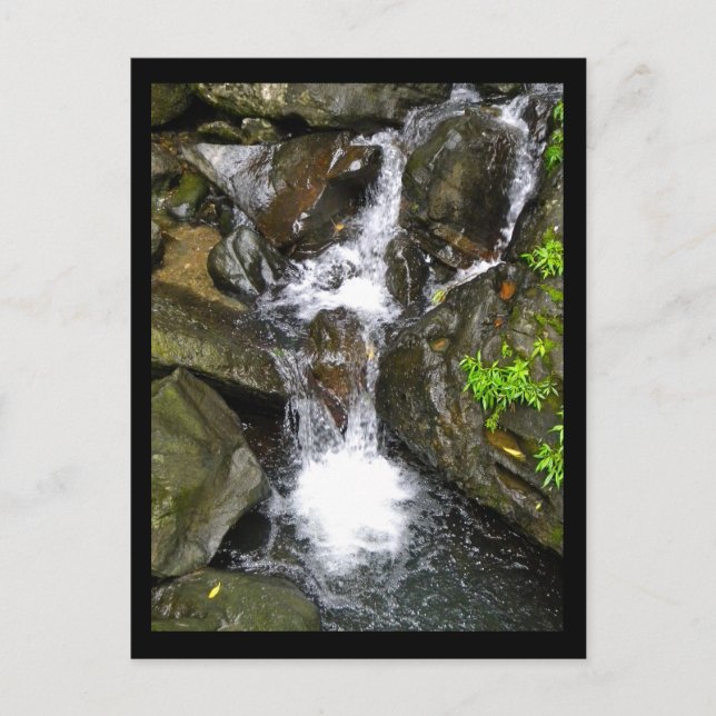 Carte Postale Cascade de la forêt tropicale nationale El Yunque (Devant)