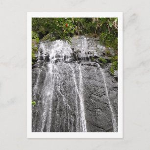 Carte Postale Cascade de la forêt tropicale nationale El Yunque