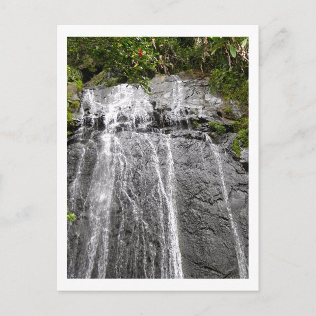 Carte Postale Cascade de la forêt tropicale nationale El Yunque (Devant)