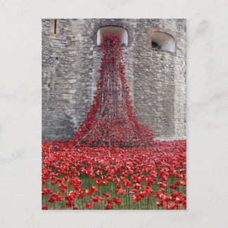 Carte Postale Cascade De Pavots À La Tour De Londres