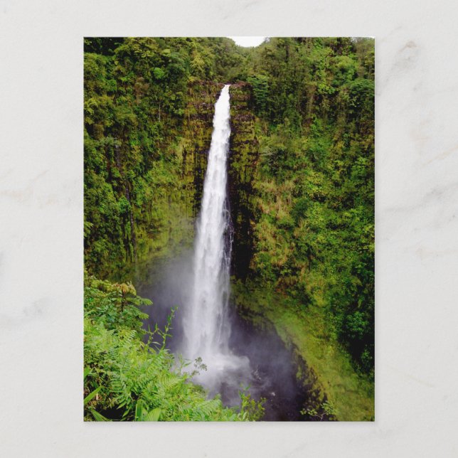 Carte Postale Cascade d'Hawaii Chutes d'Akaka (Devant)