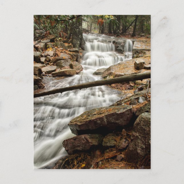 Carte Postale Cascade forestière paisible (Devant)