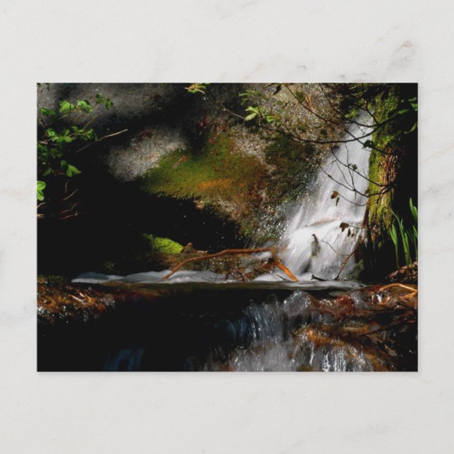 Carte Postale CASCADE. PISCINE. TOMBE. Méditation - une façon de (Devant)