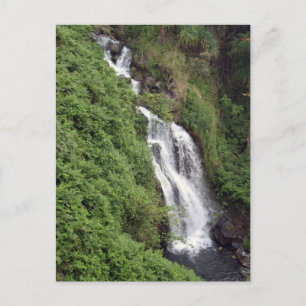 Carte Postale Cascade Près De Hilo, Hawaii