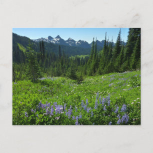 Carte Postale Cascade Range du parc national du Mont Rainier