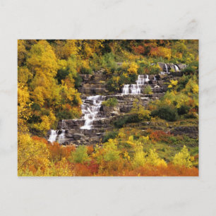 Carte Postale Cascade sous le mont Cannon dans le Glacier Nation