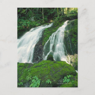Carte Postale Cascade tombant au-dessus des rochers mousseux, Mo
