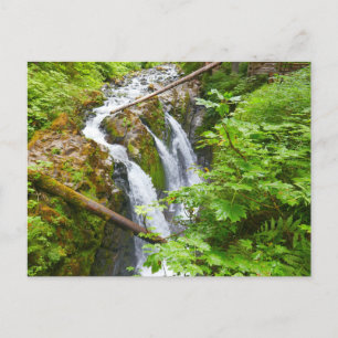 Carte Postale Cascades de Sol Duc II au Parc national Olympique