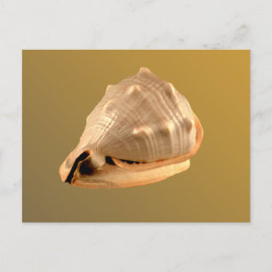 Carte Postale Casque Queens