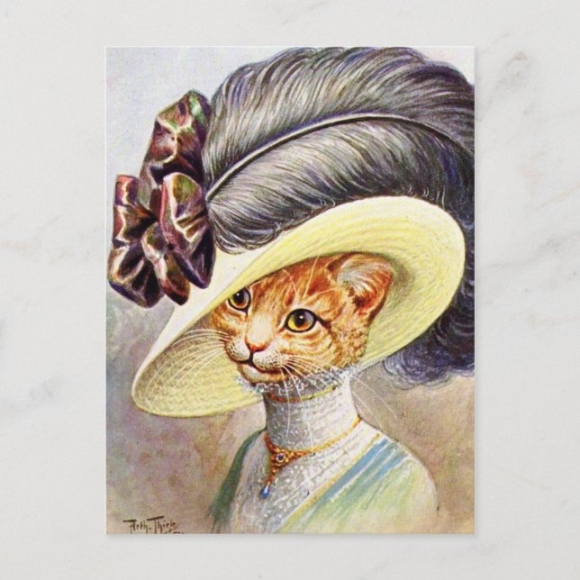 Carte Postale Casquette à plumes pour chats (Devant)
