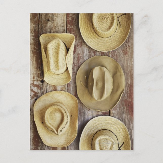 Carte Postale Casquettes de cowboy (Devant)