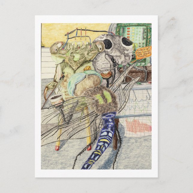 Carte Postale Cassandra Le Canada A Un Test De Détecteur De Mens (Devant)