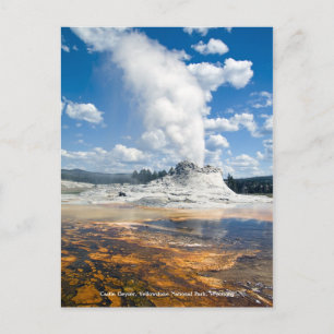 Carte postale - Castle Geyser