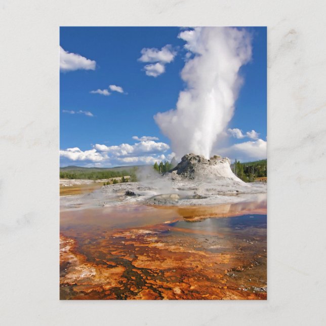 Carte Postale Castle Geyser Eruption Parc national de Yellowston (Devant)