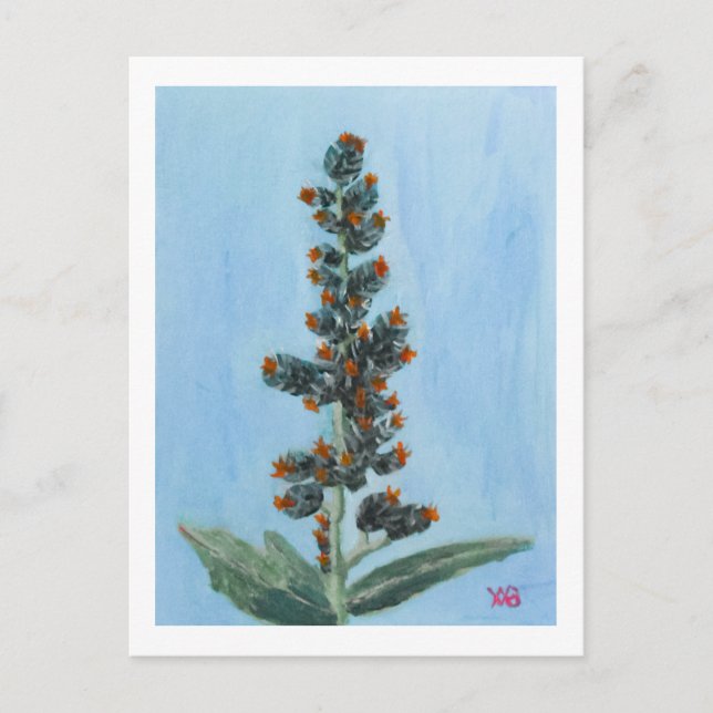 Carte Postale Castor Bean Plant (Devant)