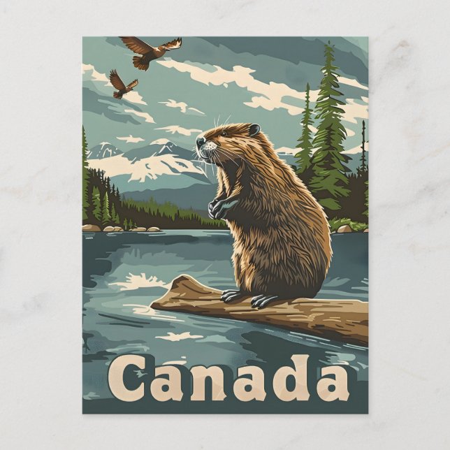 Carte Postale Castor Canada (Devant)
