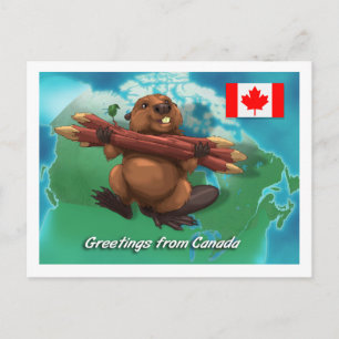 Carte Postale Castor canadien