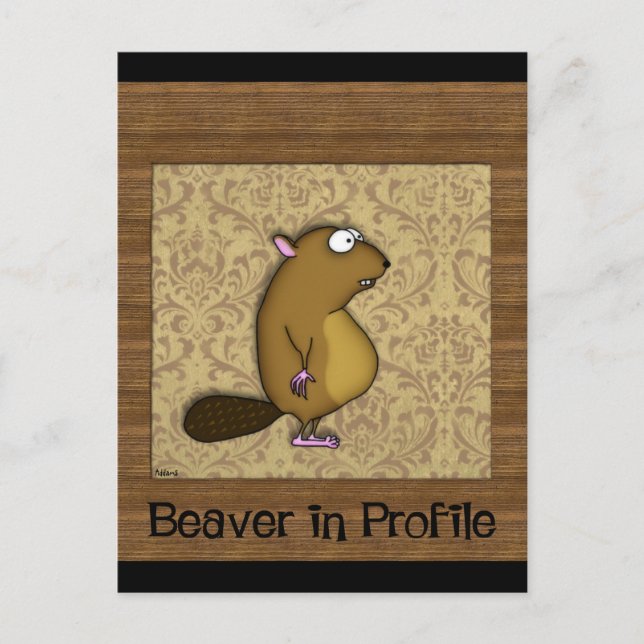 Carte Postale Castor dans le profil (Devant)